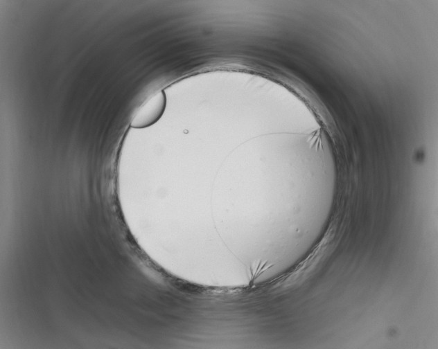 X0000116350858201001131105