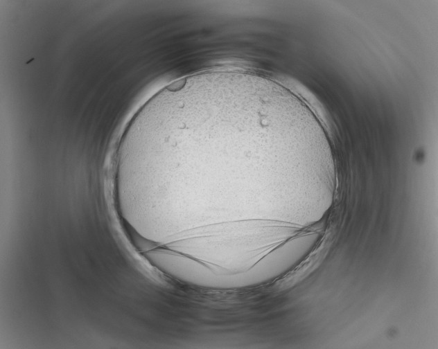 X0000116350859201001131105