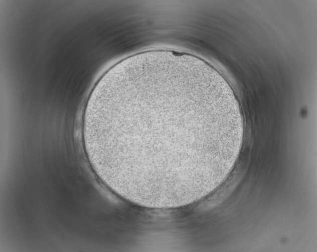 X0000116350862201001131105