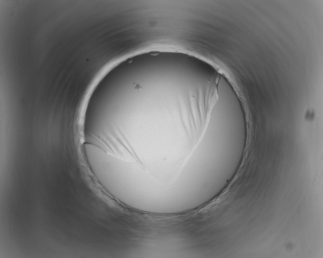 X0000116350864201001131105