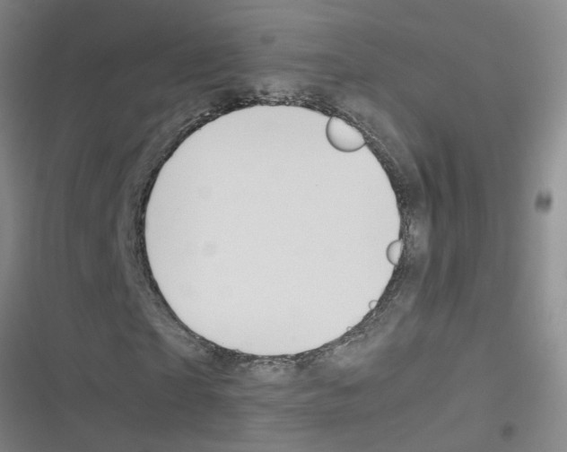 X0000116350865201001131104