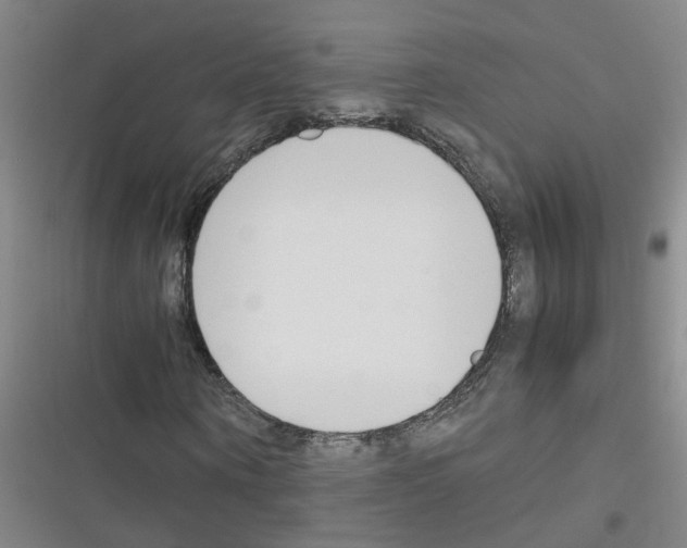 X0000116350866201001131104