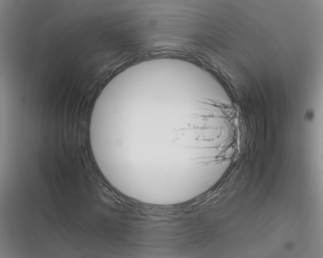 X0000116350868201001131104