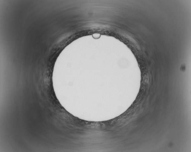 X0000116350869201001131104