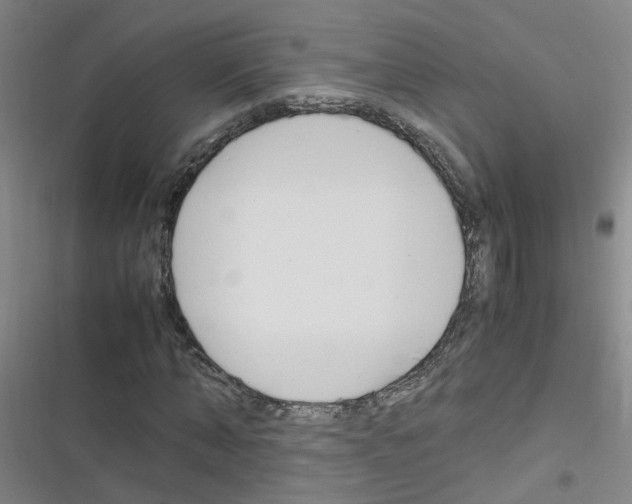X0000116350870201001131104