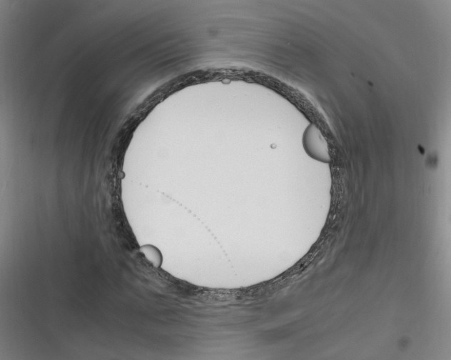 X0000116350871201001131104