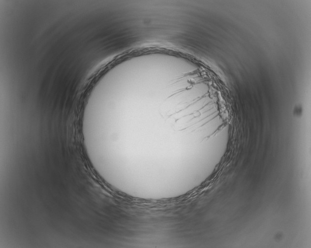 X0000116350872201001131104