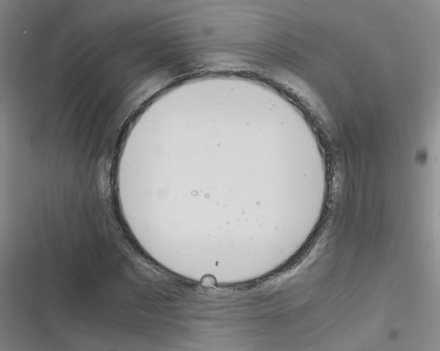 X0000116350873201001131104
