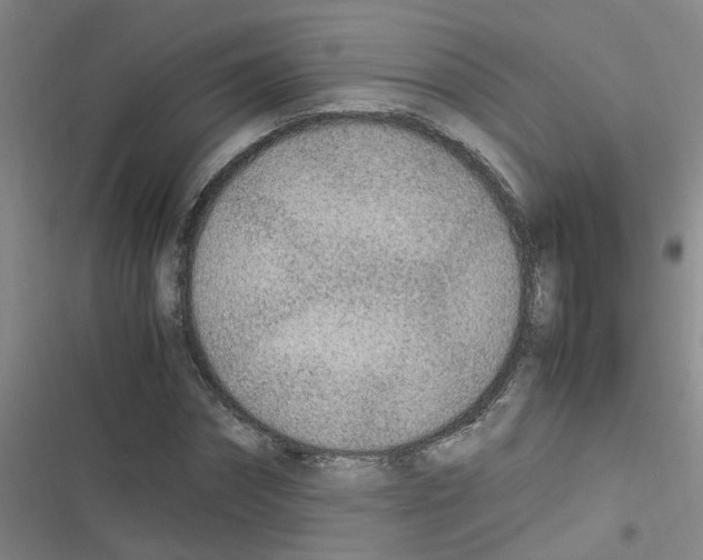 X0000116350874201001131104