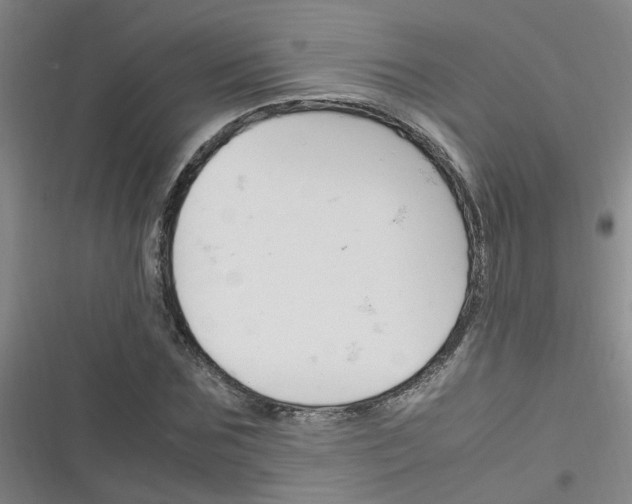X0000116350875201001131104