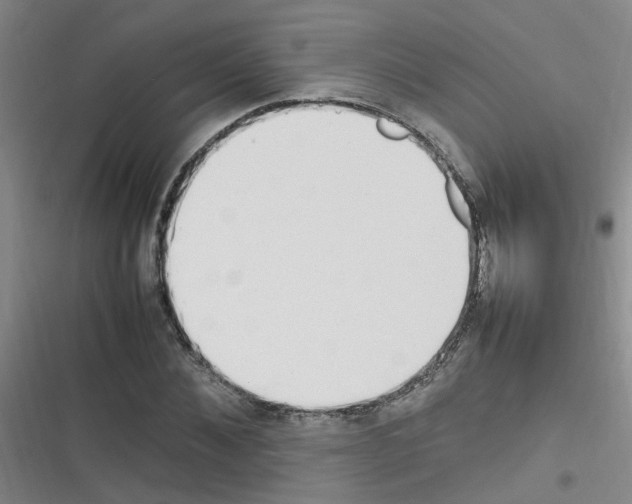 X0000116350876201001131104