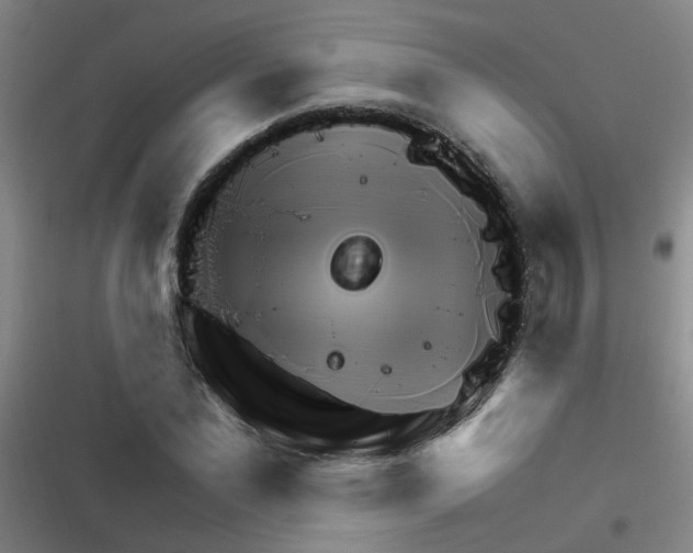 X0000116350877201001131104