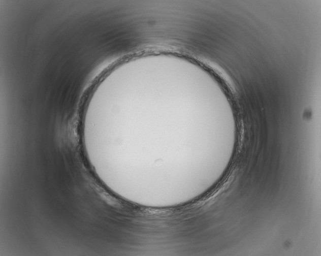 X0000116350878201001131104