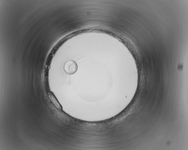 X0000116350880201001131104