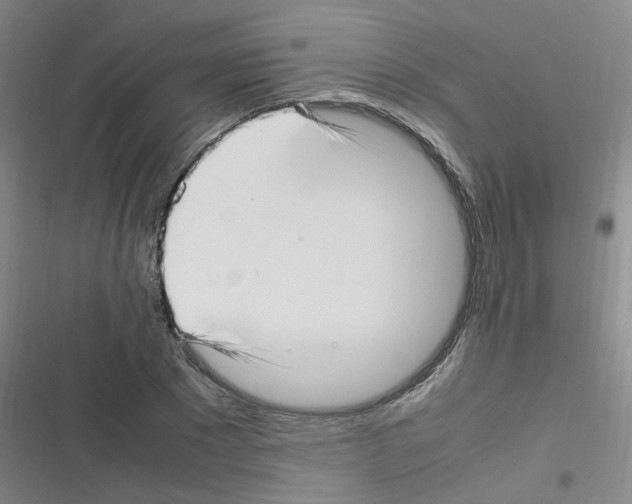 X0000116350881201001131104