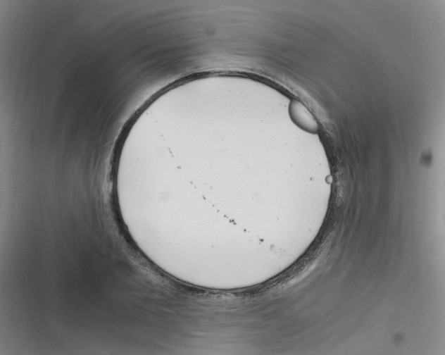 X0000116350885201001131104