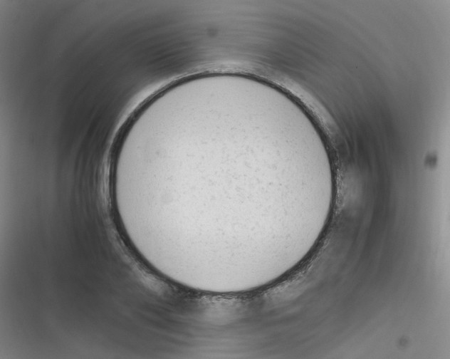 X0000116350886201001131104