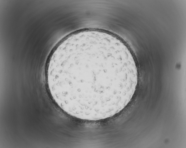 X0000116350887201001131104