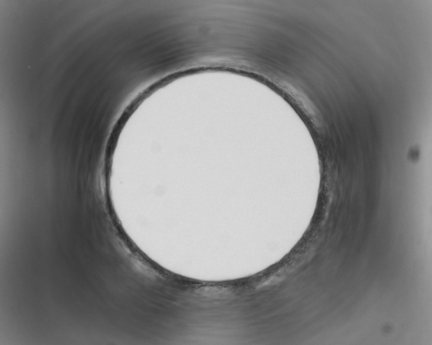 X0000116350888201001131104