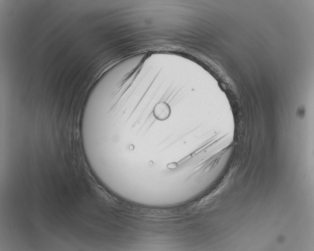 X0000116350889201001131104