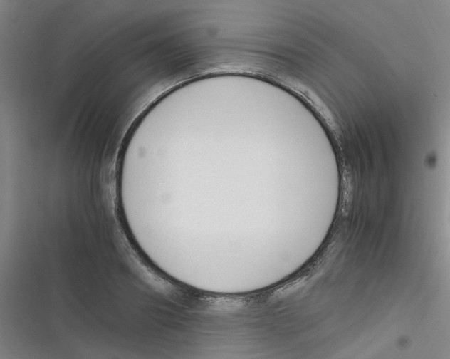 X0000116350890201001131104