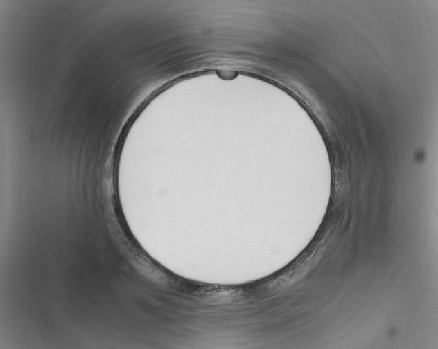 X0000116350891201001131104