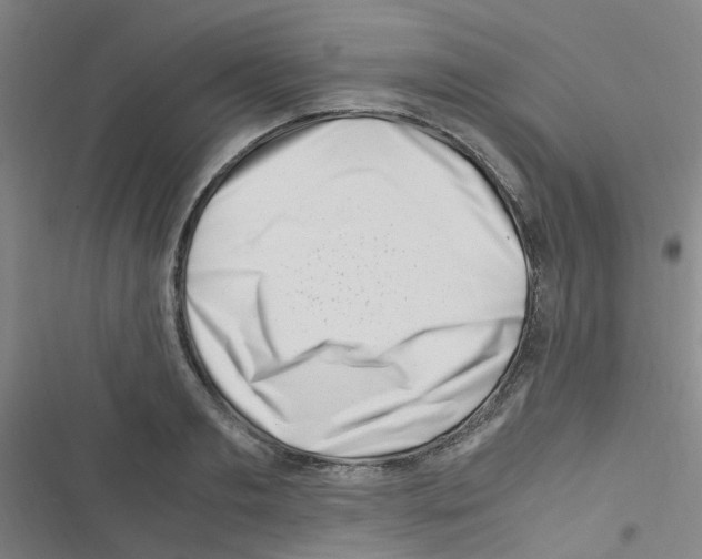 X0000116350893201001131104