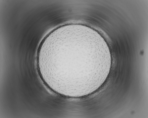 X0000116350894201001131104