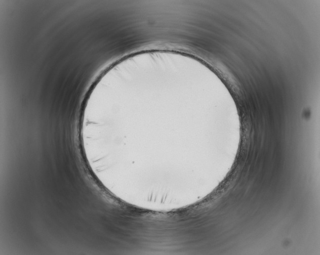 X0000116350896201001131104
