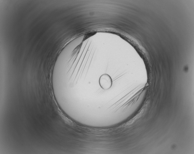 X0000116350897201001131104