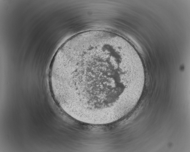 X0000116350899201001131104