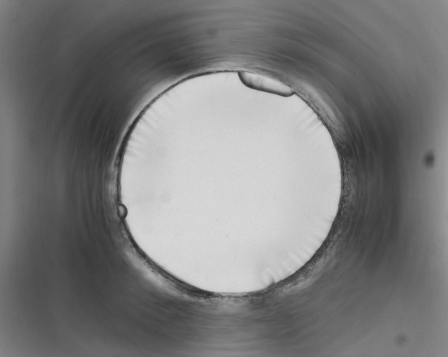 X0000116350900201001131104