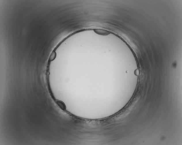 X0000116350901201001131104