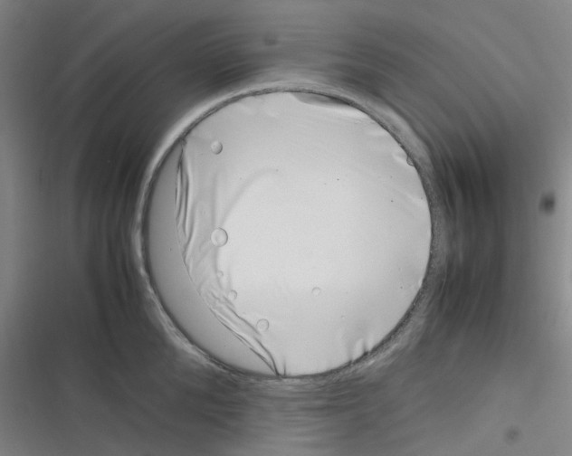 X0000116350904201001131104