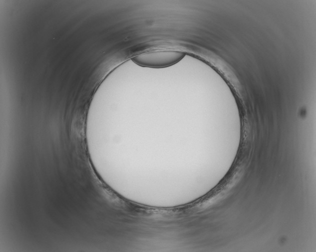 X0000116350905201001131103