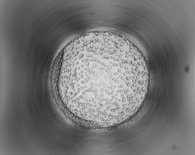 X0000116350906201001131103