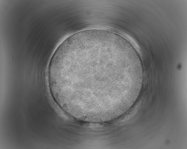 X0000116350907201001131103