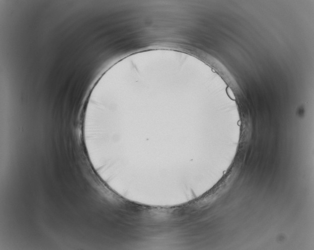 X0000116350908201001131103