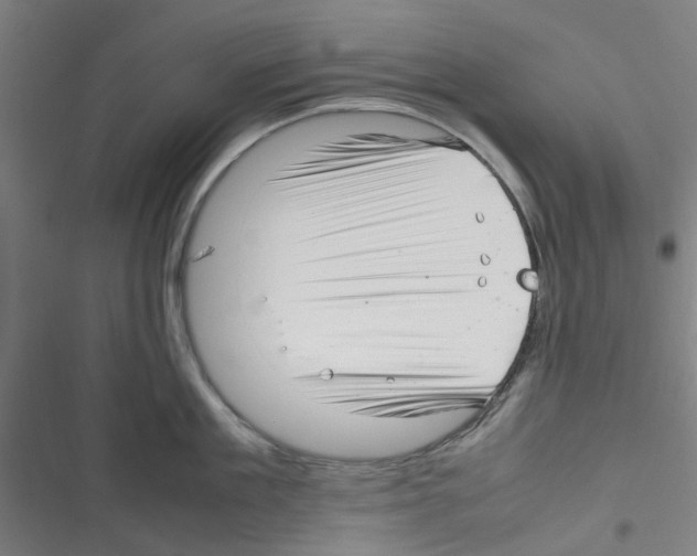 X0000116350909201001131103
