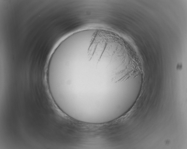 X0000116350912201001131103
