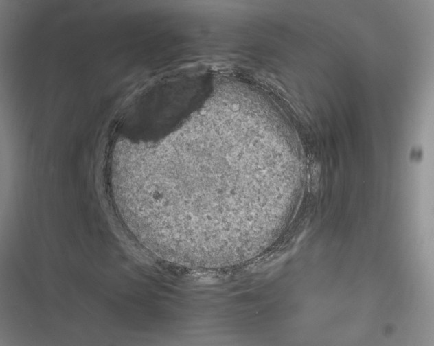 X0000116350913201001131103