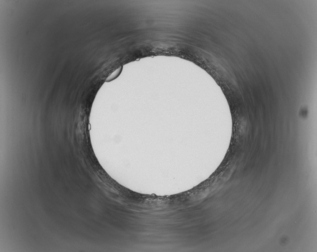 X0000116350914201001131103