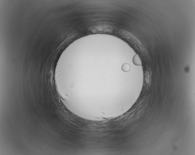 X0000116350915201001131103