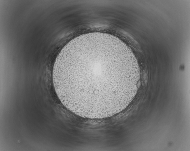 X0000116350917201001131103