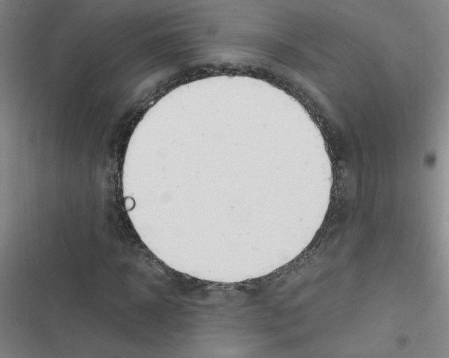 X0000116350918201001131103