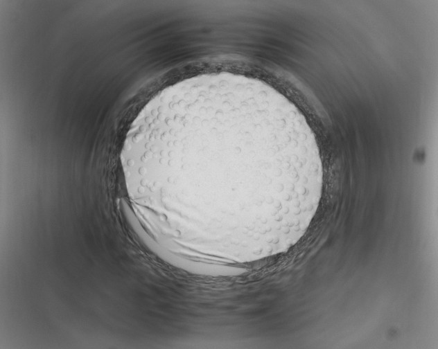 X0000116350919201001131103