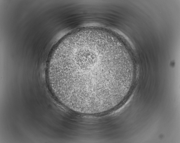 X0000116350921201001131103
