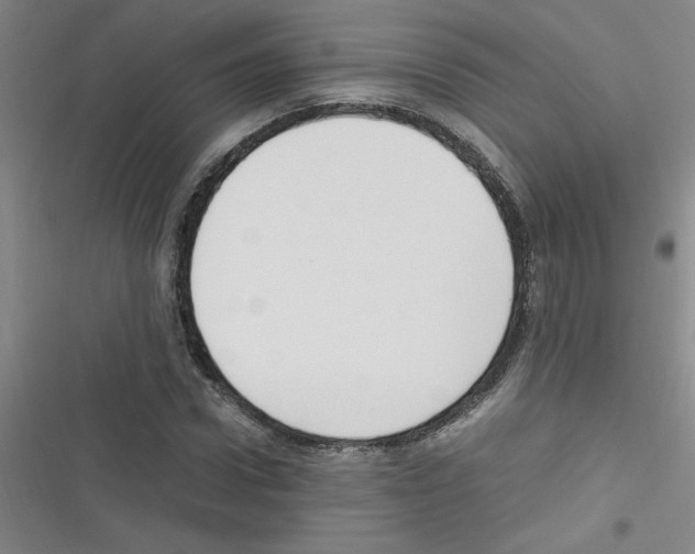 X0000116350922201001131103