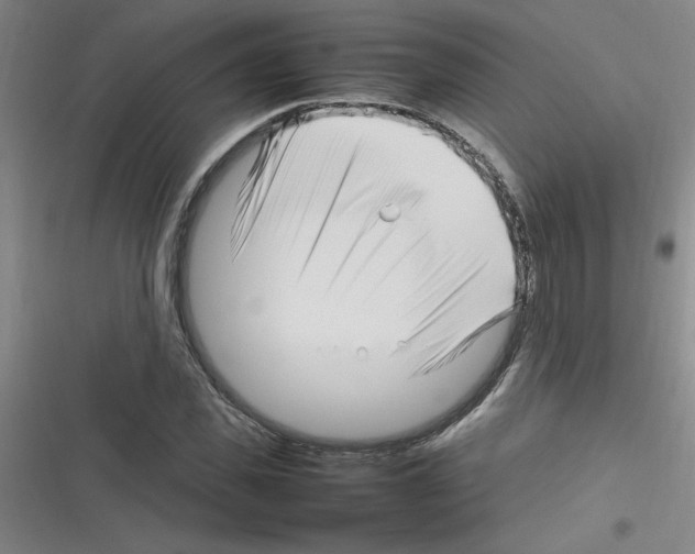 X0000116350925201001131103