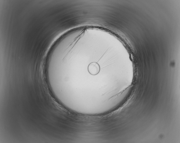 X0000116350926201001131103